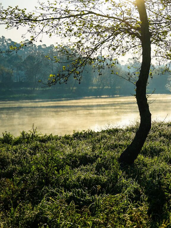 Ideas for Peaceful Weekend Mornings to Refresh Your Soul