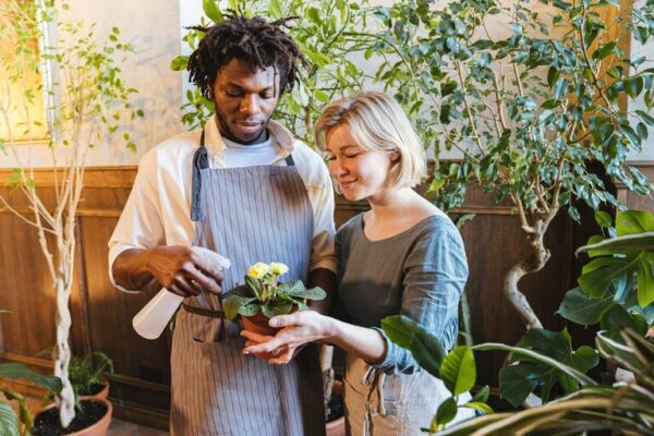 Post: Tips for keeping houseplants healthy